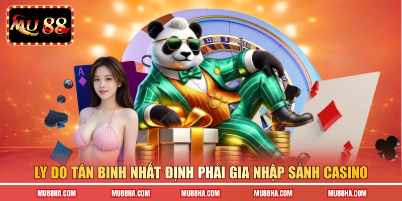 Lý do tân binh nhất định phải gia nhập sảnh casino