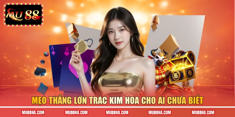 Mẹo thắng lớn Trác Kim Hoa cho ai chưa biết
